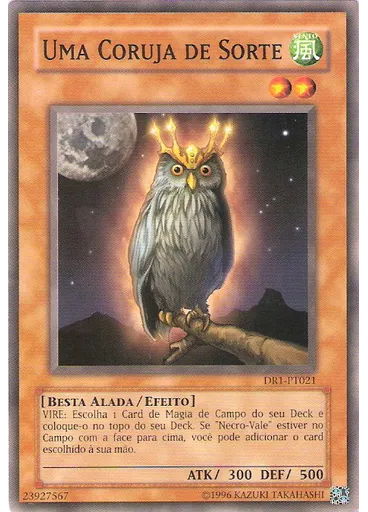 Uma Coruja de Sorte