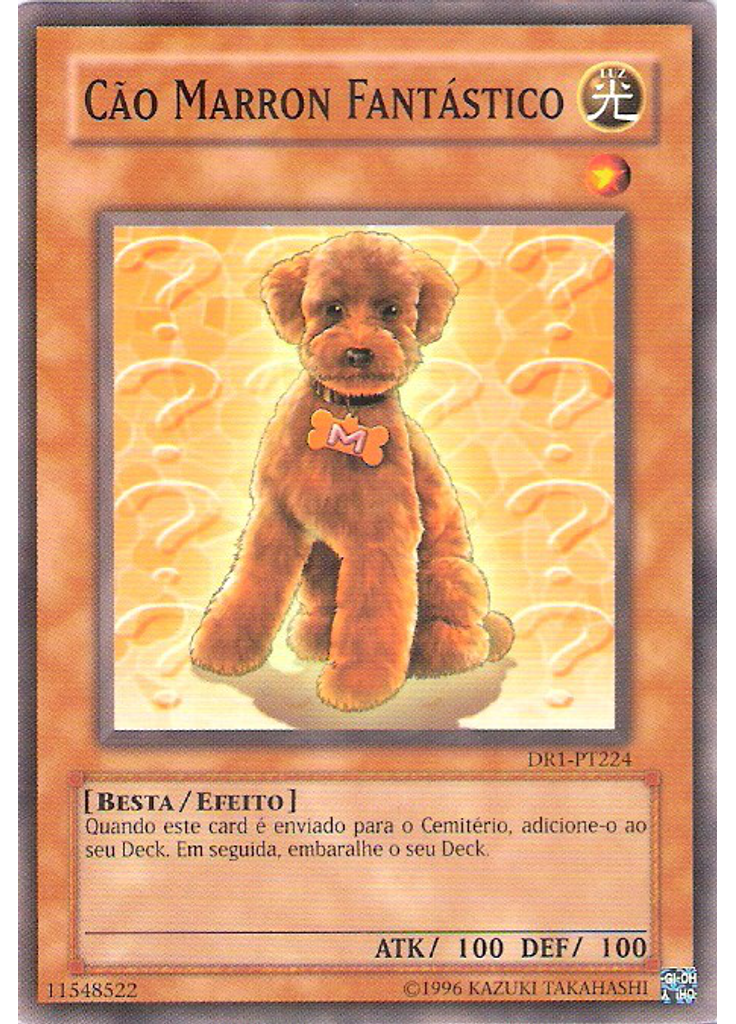 Cão Marron Fantástico