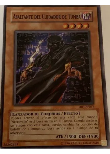 Asaltante del Cuidador de Tumbas