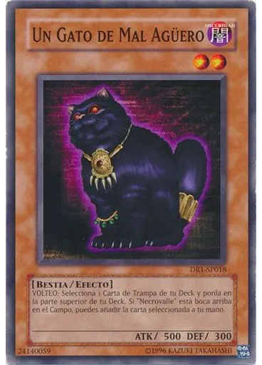 Un Gato de Mal Agüero