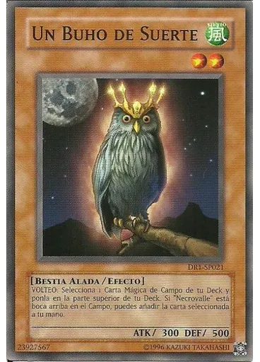 Un Buho de Suerte