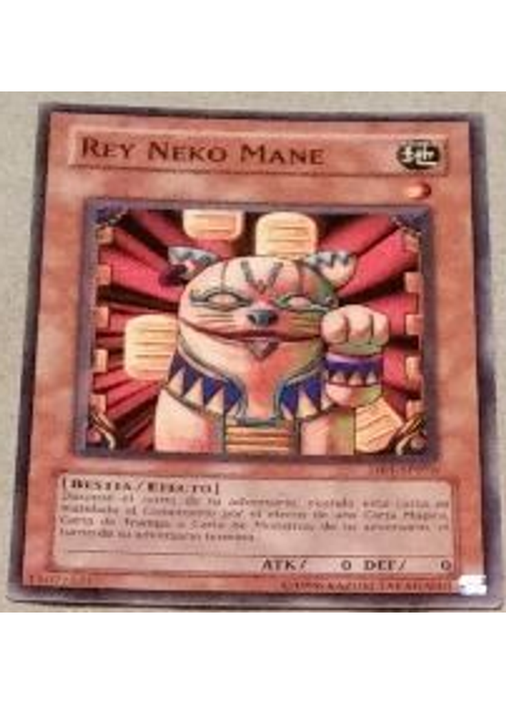 Rey Neko Mane