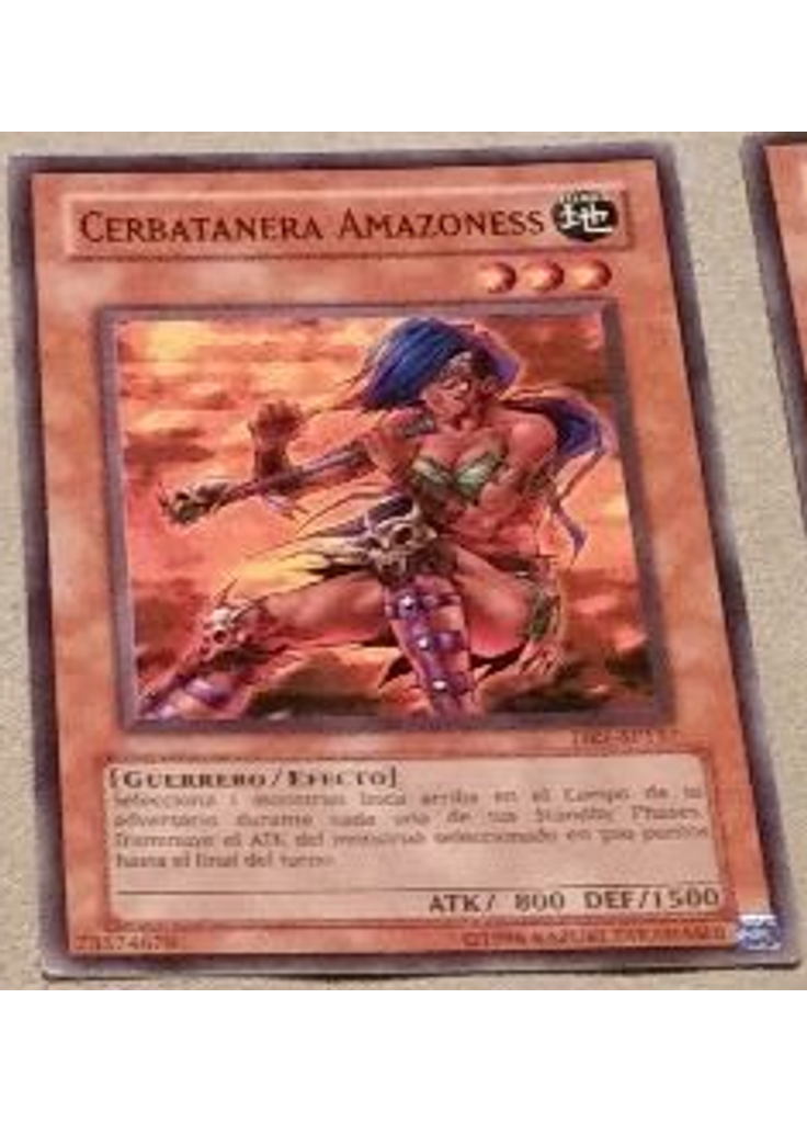 Cerbatanera Amazoness