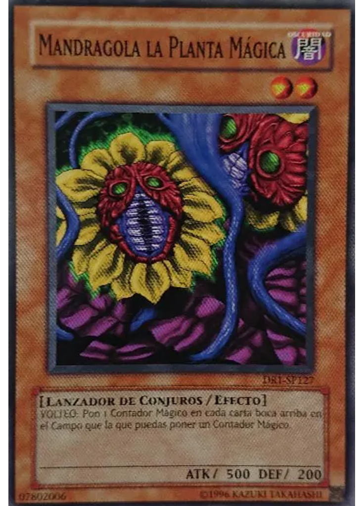 Mandragola la Planta Mágica