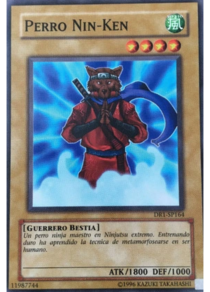 Perro Nin-Ken