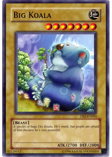 Big Koala