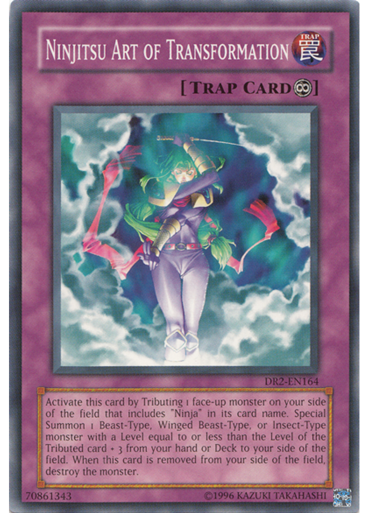 Ninjitsu Art of Transformation