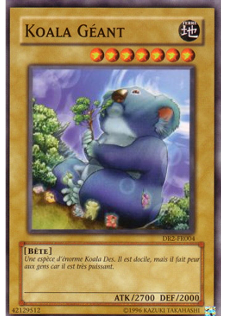Koala Géant