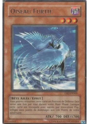 Oiseau Furtif