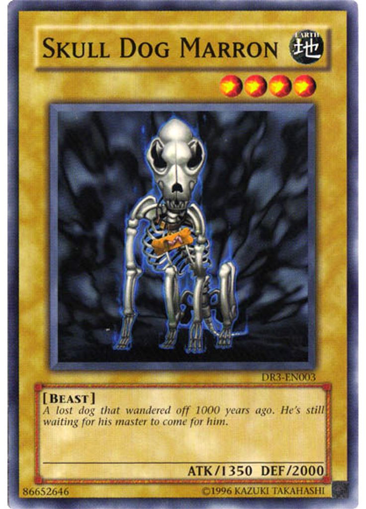 Skull Dog Marron