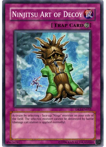 Ninjitsu Art of Decoy