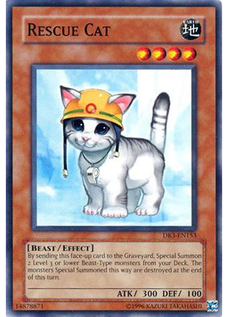 Rescue Cat