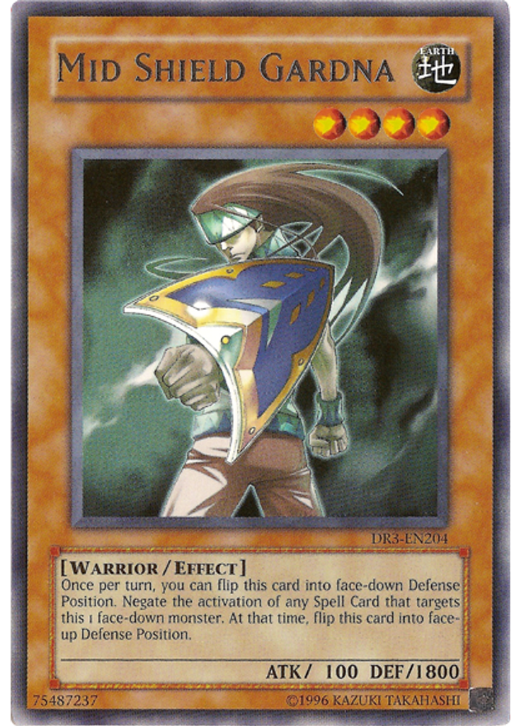 Mid Shield Gardna