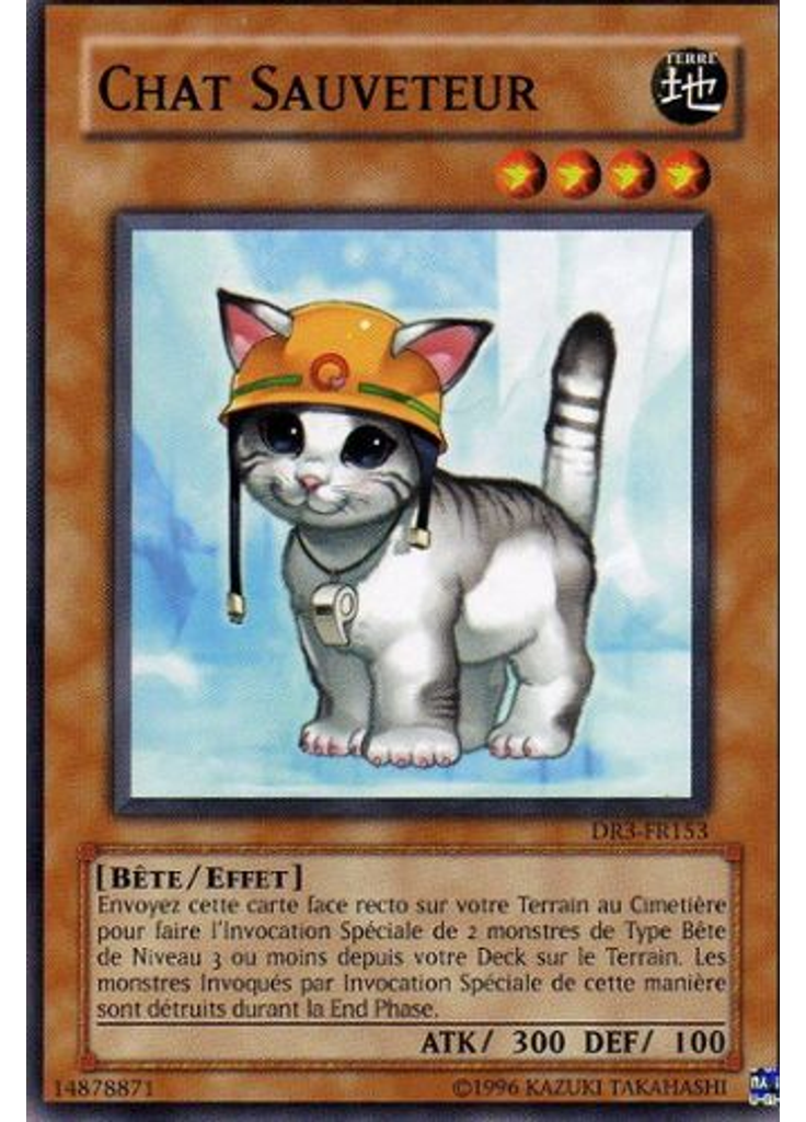 Chat Sauveteur