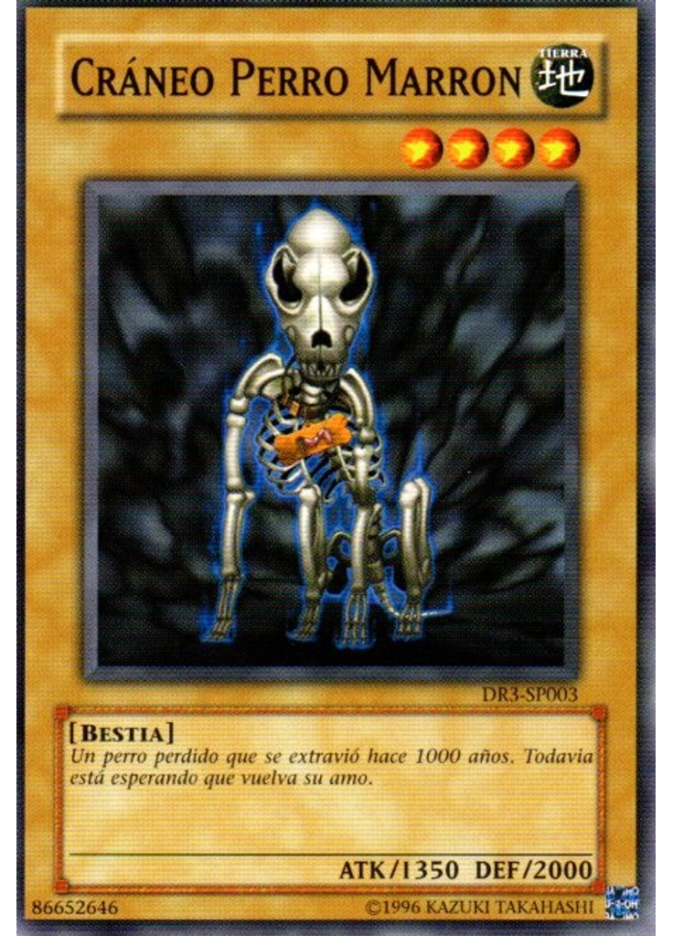 Cráneo Perro Marron