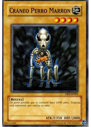 Cráneo Perro Marron