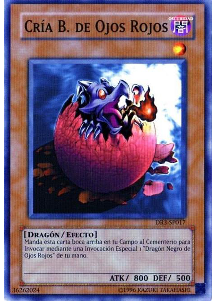 Cría de Dragón Negro