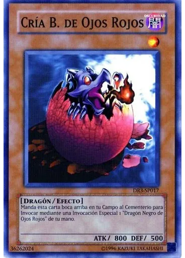 Cría de Dragón Negro