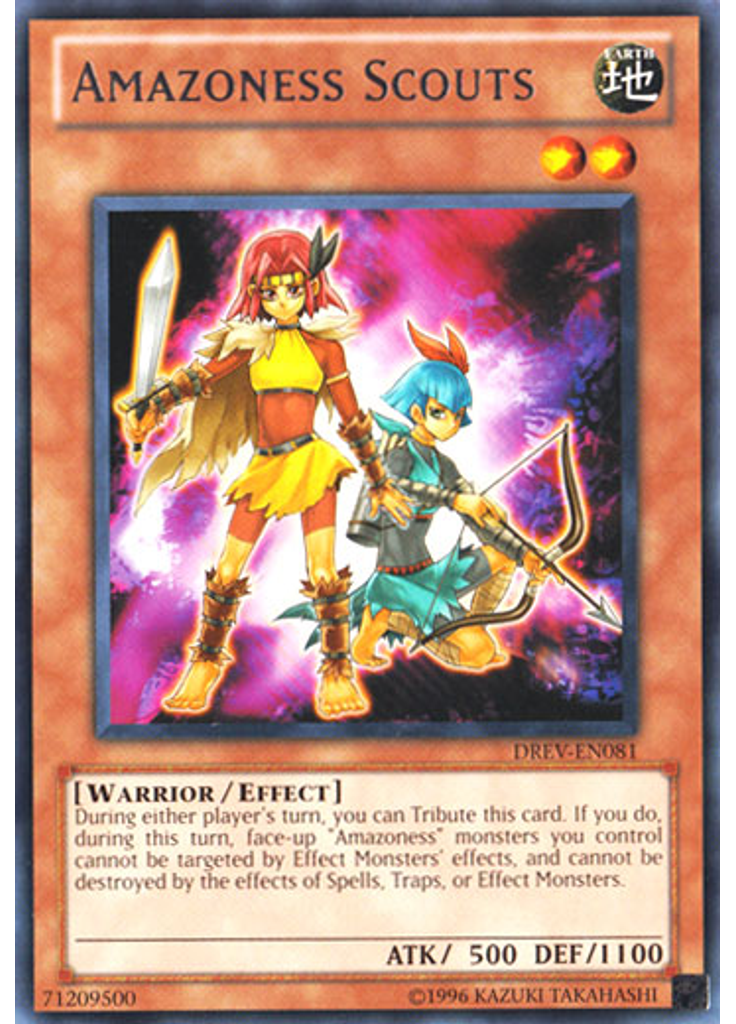 Amazoness Scouts (Rare Unlimited)