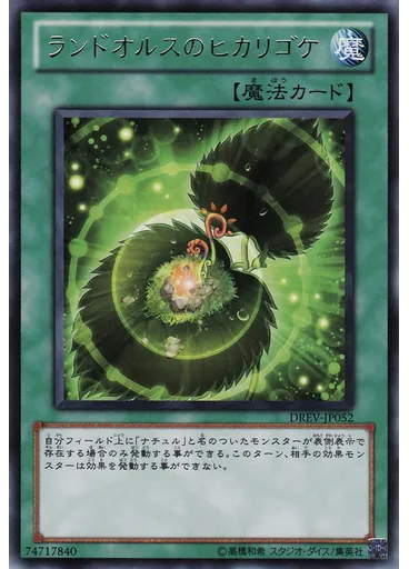 ランドオルスのヒカリゴケ