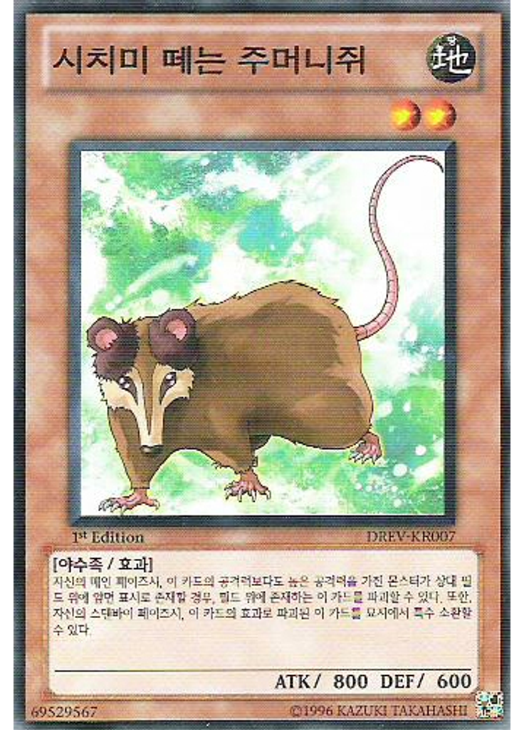 시치미 떼는 주머니쥐