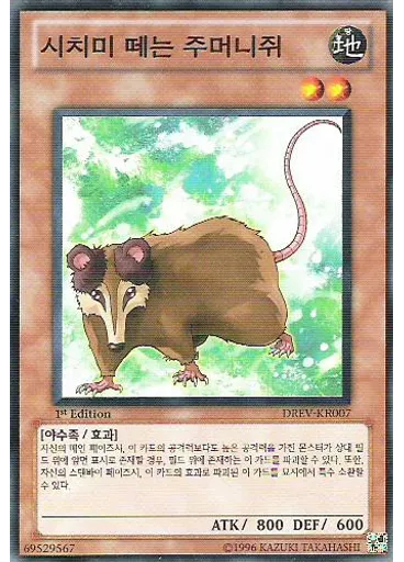 시치미 떼는 주머니쥐