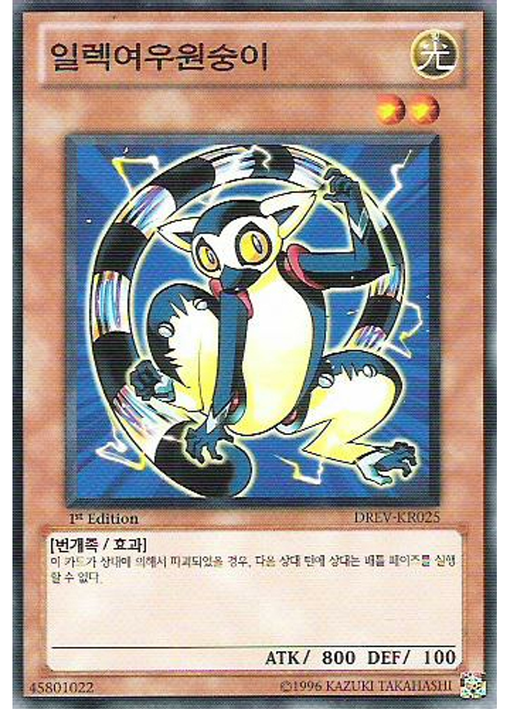 일렉여우원숭이