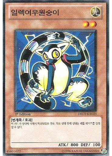 일렉여우원숭이