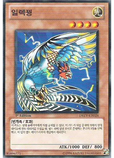 일렉꿩