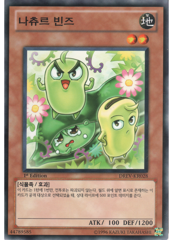 나츄르 빈즈