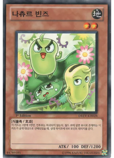 나츄르 빈즈