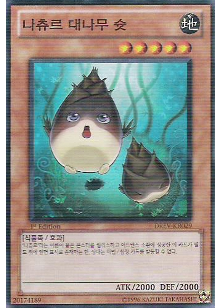 나츄르 대나무 슛