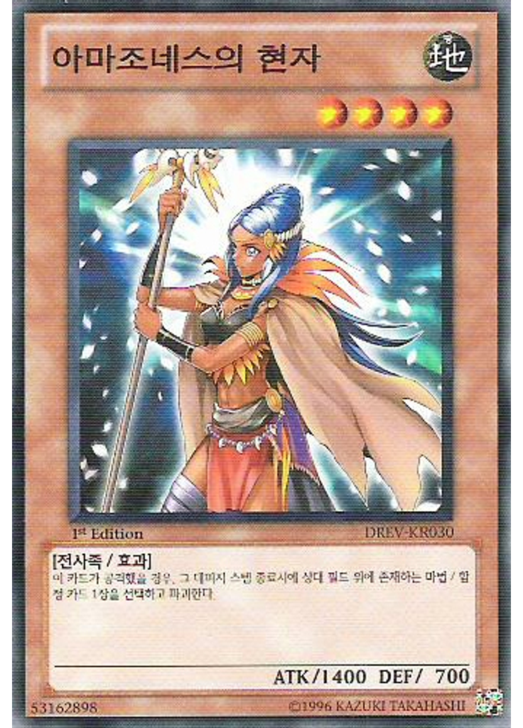 아마조네스의 현자