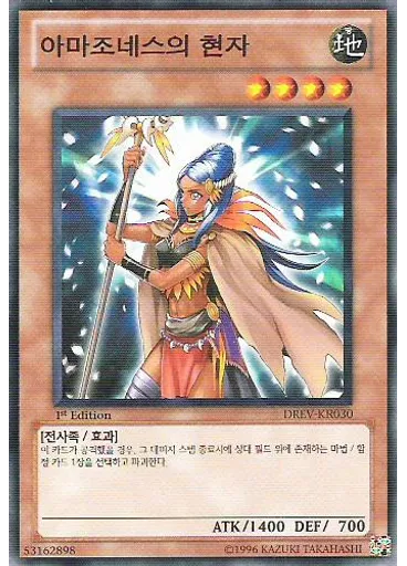 아마조네스의 현자