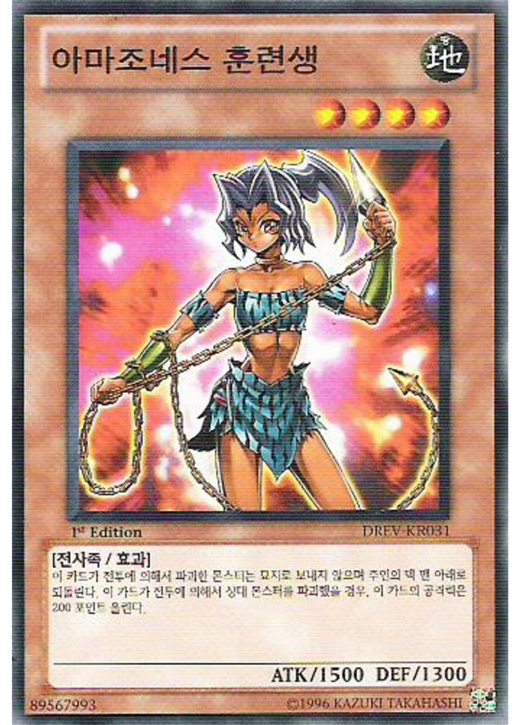 아마조네스 훈련생
