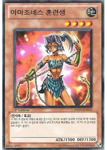아마조네스 훈련생