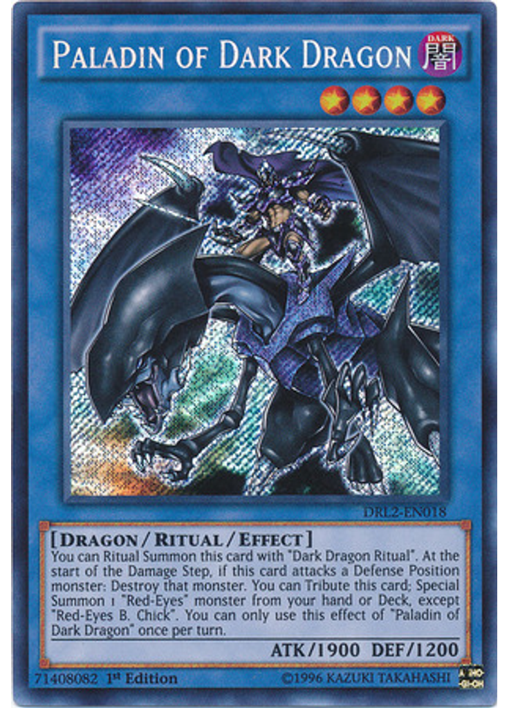 Paladin of Dark Dragon
