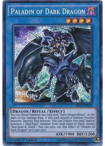 Paladin of Dark Dragon