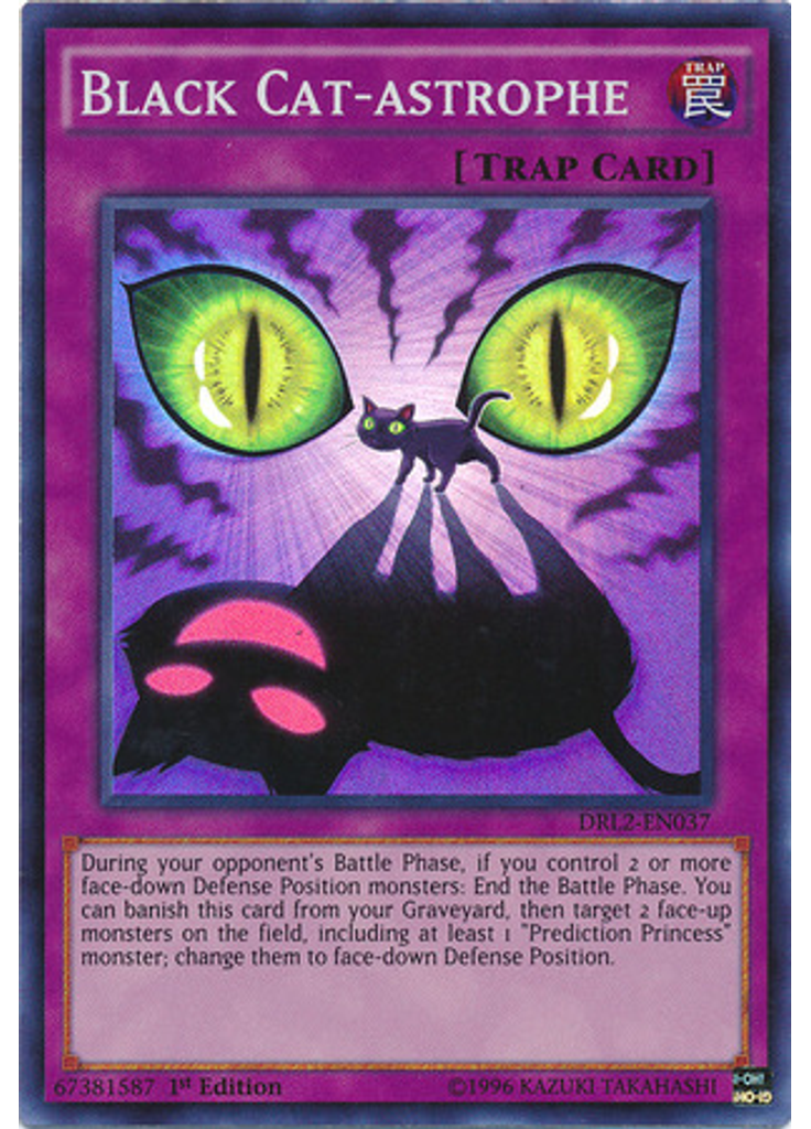 Black Cat-astrophe