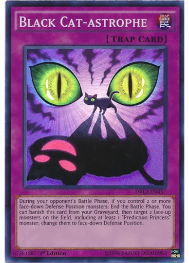 Black Cat-astrophe