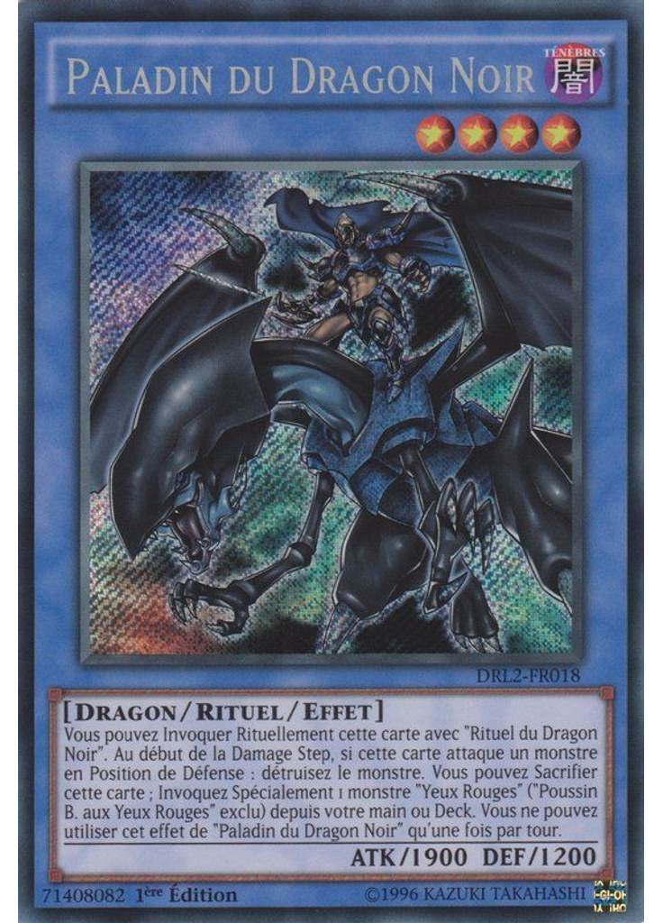 Paladin du Dragon Noir