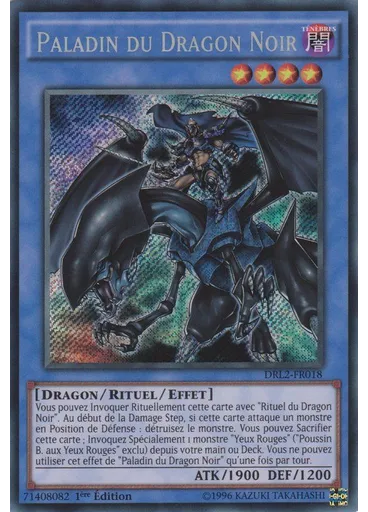 Paladin du Dragon Noir