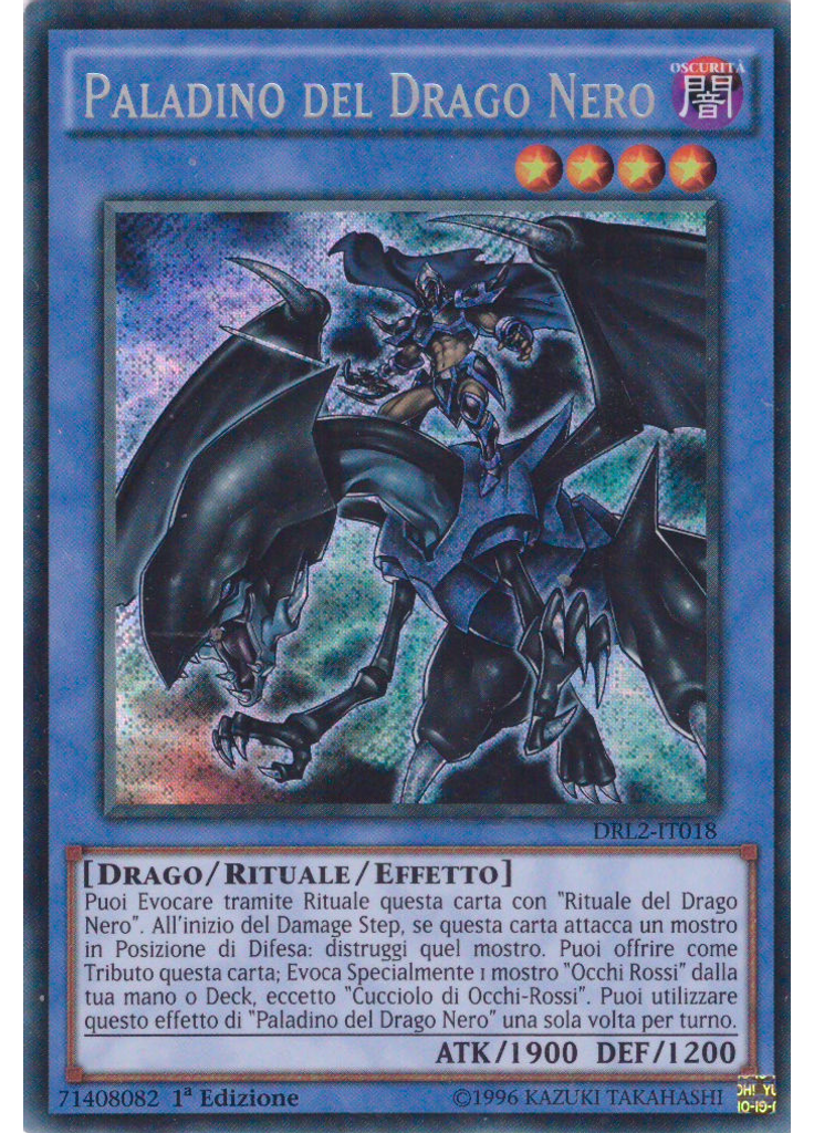 Paladino del Drago Nero
