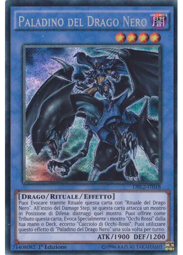 Paladino del Drago Nero
