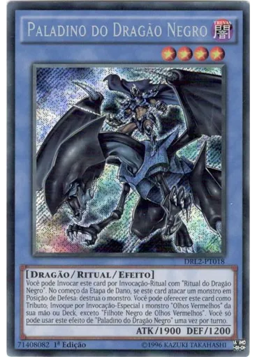 Paladino do Dragão Negro