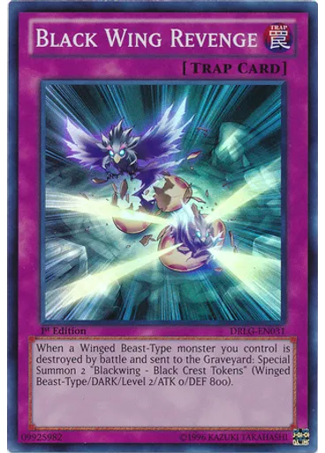 Black Wing Revenge