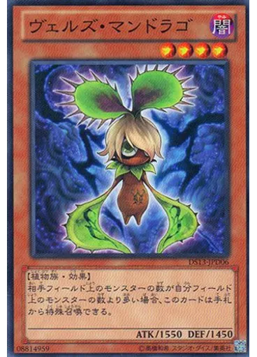 ヴェルズ・マンドラゴ