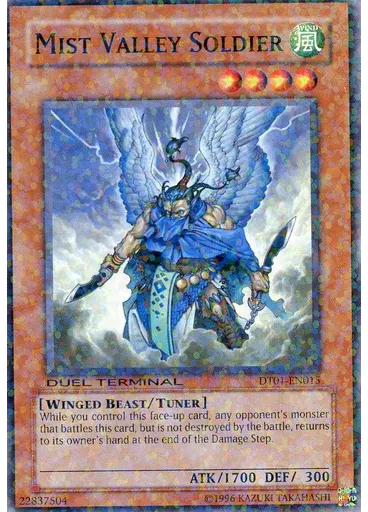 Mist Valley Soldier