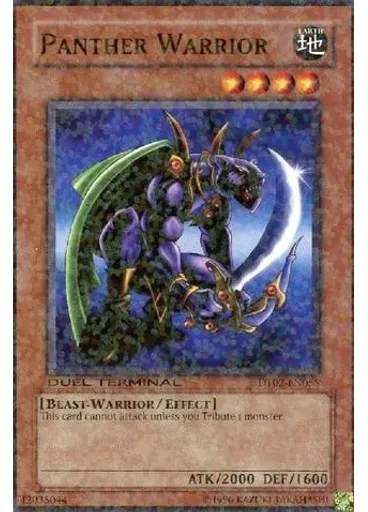 Panther Warrior