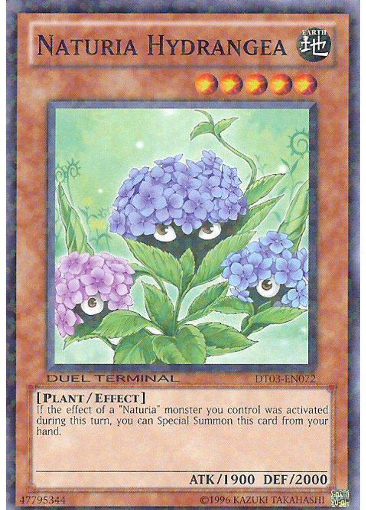 Naturia Hydrangea